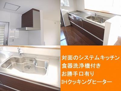 Kitchen. Indoor (July 2012) shooting Calm kitchen woodgrain. Also it comes with a convenient dishwasher clean up. 