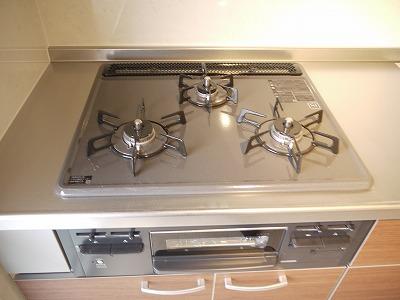 Other Equipment. Kitchen gas stove glass top stove
