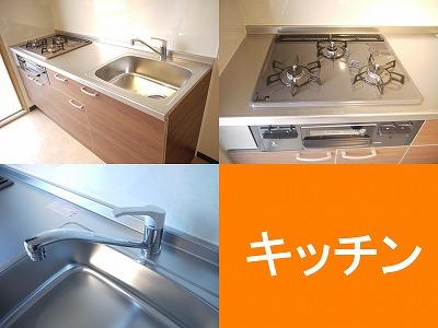 Kitchen. It is a gas stove new three-necked