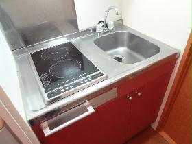 Kitchen. Electric stove 2-neck