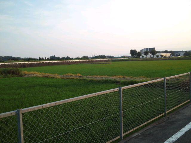 View photos from the local. View from the south (July 2013) Shooting Wider countryside, ventilation ・ Day is good