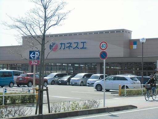 Supermarket. 600m until Kanesue (super)