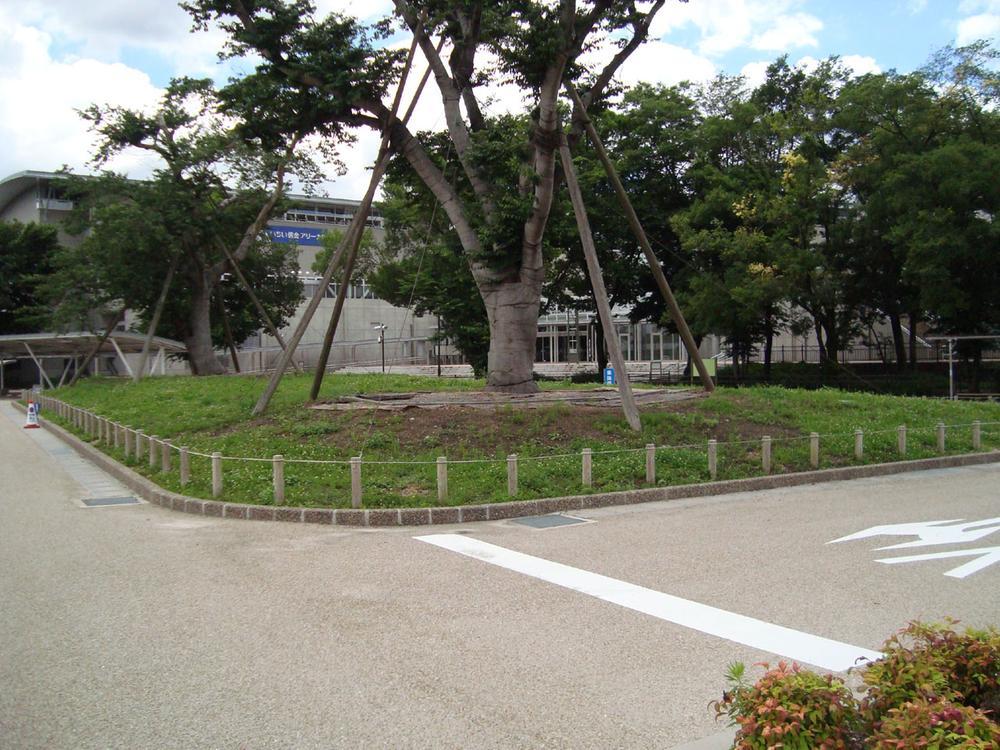 park. Komyoji park