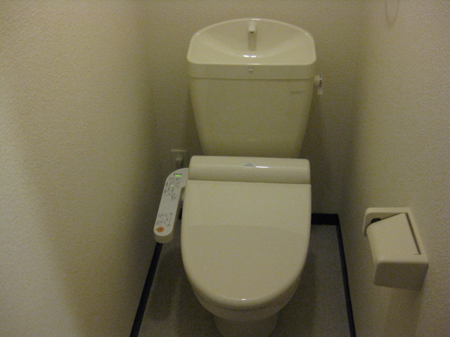 Toilet. Isomorphic photo