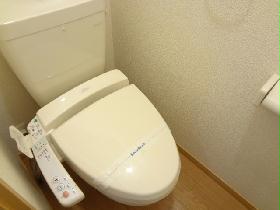 Toilet. Warm water washing toilet seat