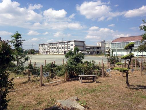 Primary school. Ichinomiya 496m to stand Chiaki elementary school