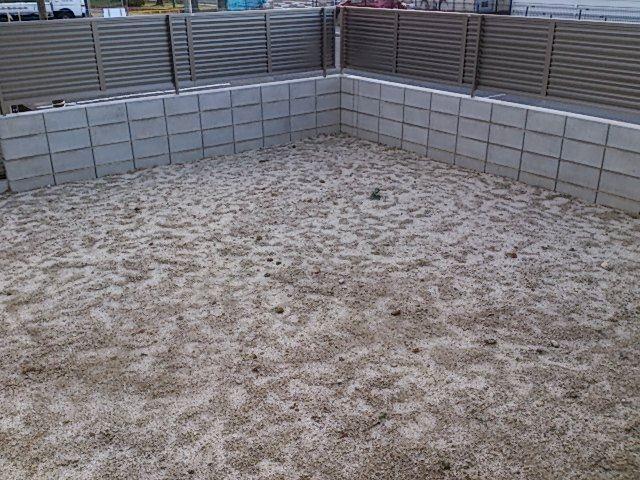 Garden. Local (11 May 2013) Shooting