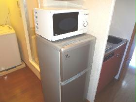 Other. microwave, refrigerator