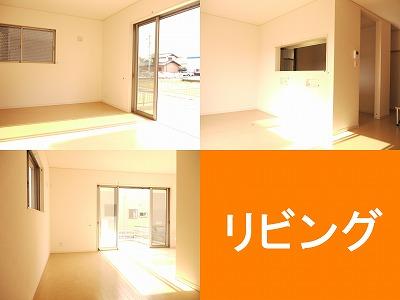 Living. South-facing bright living