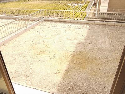 Garden. Local (12 May 2013) Shooting