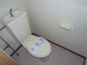 Toilet