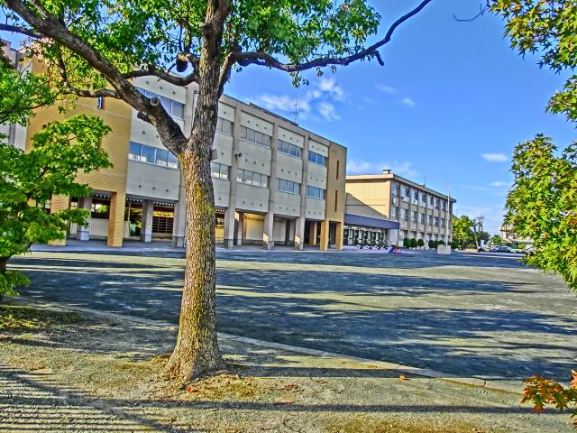 Primary school. Ichinomiya 583m up to municipal Hagiwara Elementary School