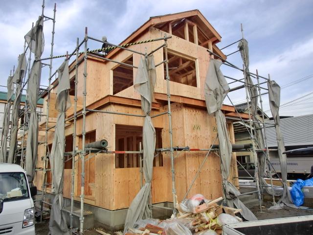 Local appearance photo. Local (December 27, 2013) Shooting