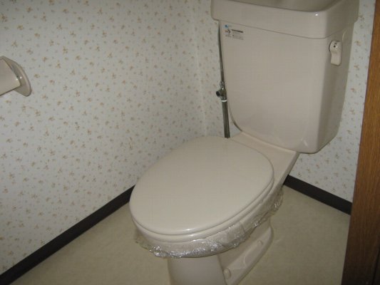 Toilet