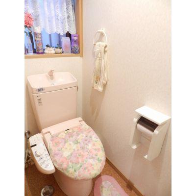 Toilet. Renovation completed