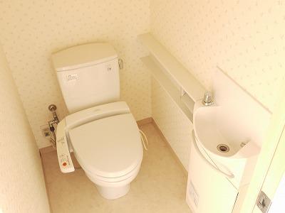 Toilet. It is a basin with a bidet toilet