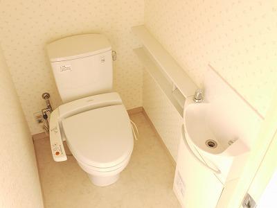 Toilet. There is a hand-wash in the toilet. It is spacious toilet.