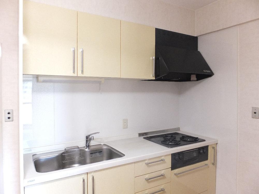 Kitchen. Indoor (11 May 2013) Shooting