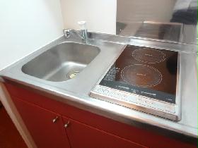 Kitchen. Electric stove 2-neck