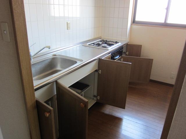 Kitchen. Indoor (September 2013) Shooting