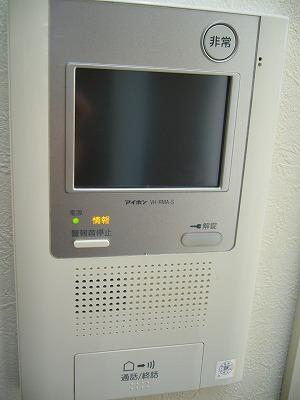 Other. TV monitor that can be confirmed by monitoring the visitor's