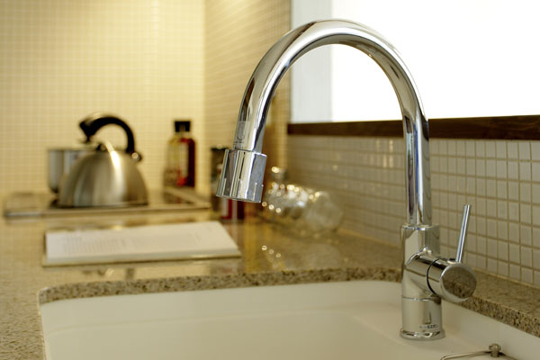Kitchen.  [Faucets] Stylish faucets functionality of the shower head is good
