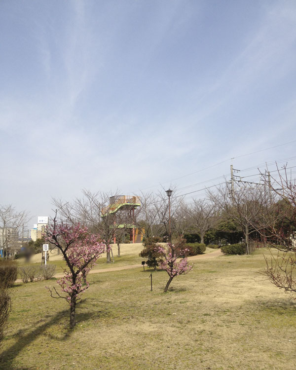 Surrounding environment. Umekeeda park (6-minute walk ・ About 450m)