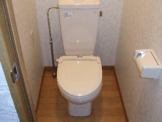 Toilet