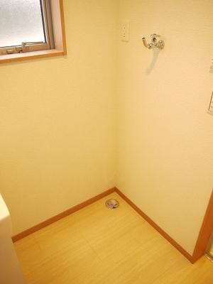 Wash basin, toilet. Indoor Laundry Storage