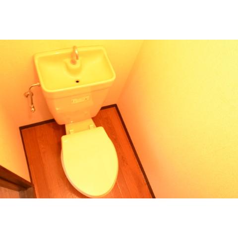 Toilet