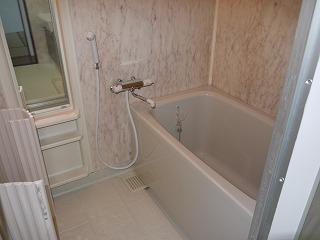 Bathroom. Replace the tub with a new one