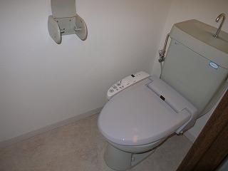 Toilet. Also it is a new and replacement toilet seat