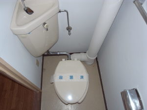 Toilet