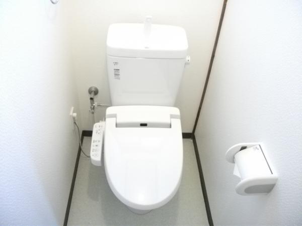 Toilet. So we have to replace the toilet new, You can comfortably use, .