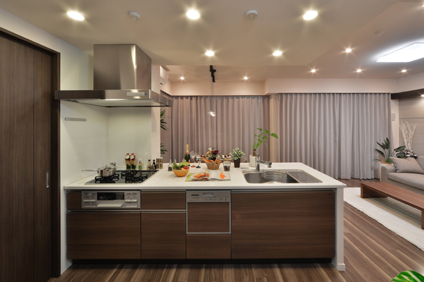 Kitchen.  [kitchen] C type model room