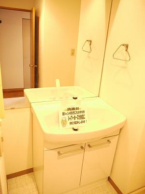 Wash basin, toilet. New shampoo dresser