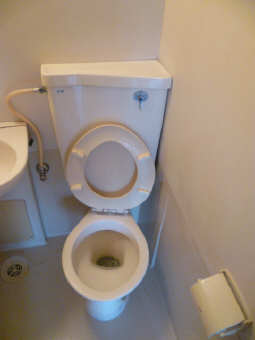 Toilet