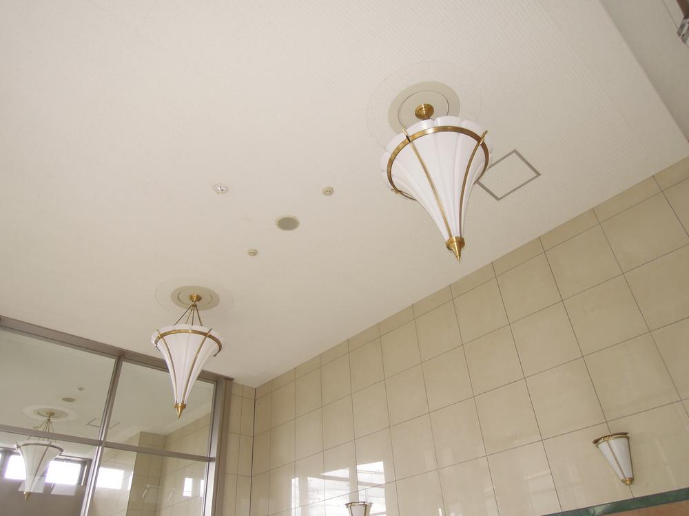 Entrance. It is the ceiling of the entrance.