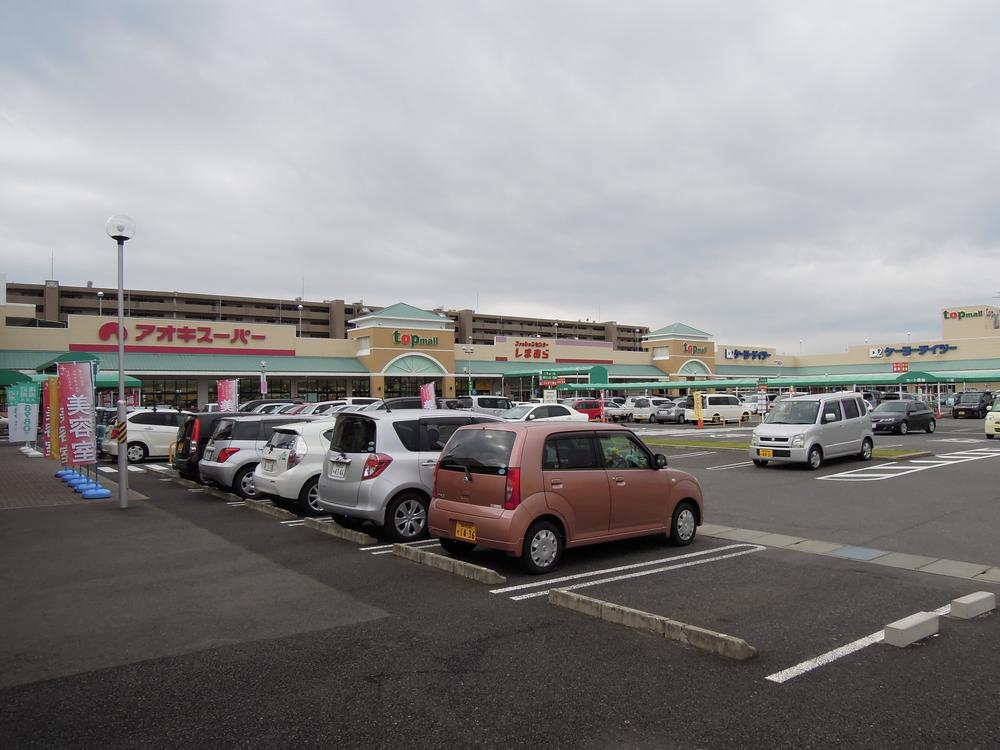 Other. Shopping mall "topmall" adjacent to the apartment.