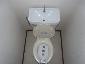 Toilet