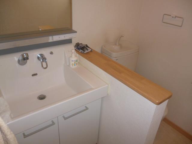 Wash basin, toilet. Vanity with shower.