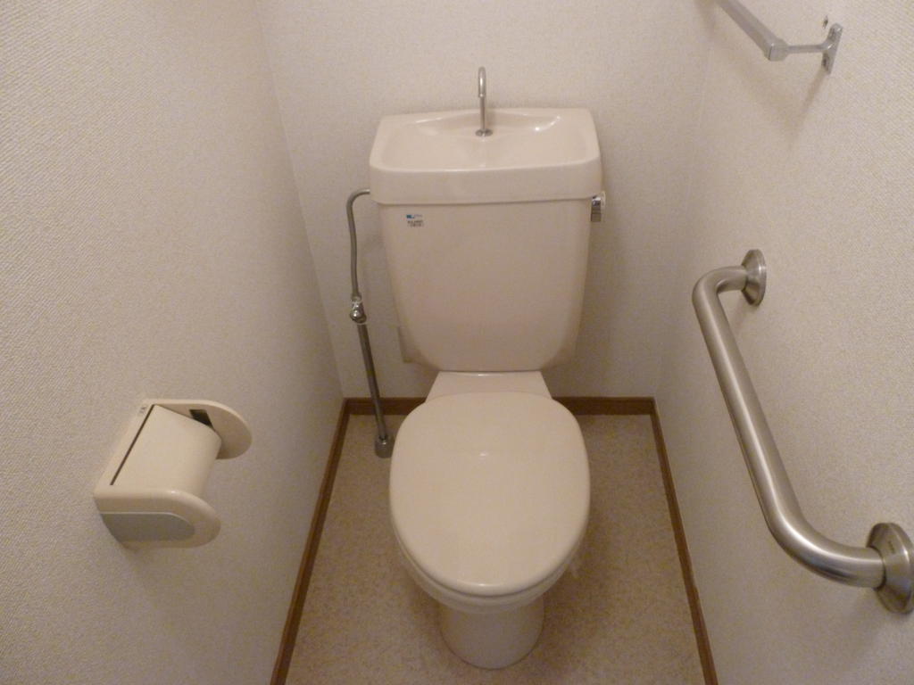 Toilet. Simple and a clean toilet