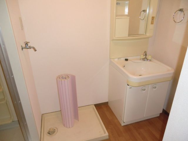 Washroom. Separate vanity and a washing machine inside the yard