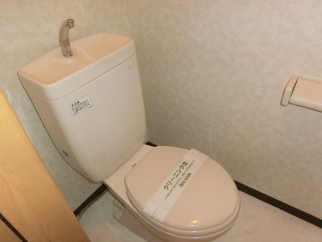 Toilet. It also is equipped with storage shelves on the top dated power