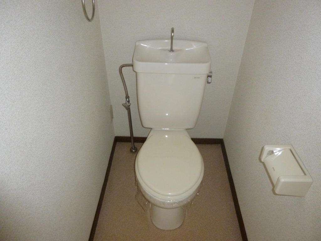 Toilet. Making it to the toilet with a simple clean.