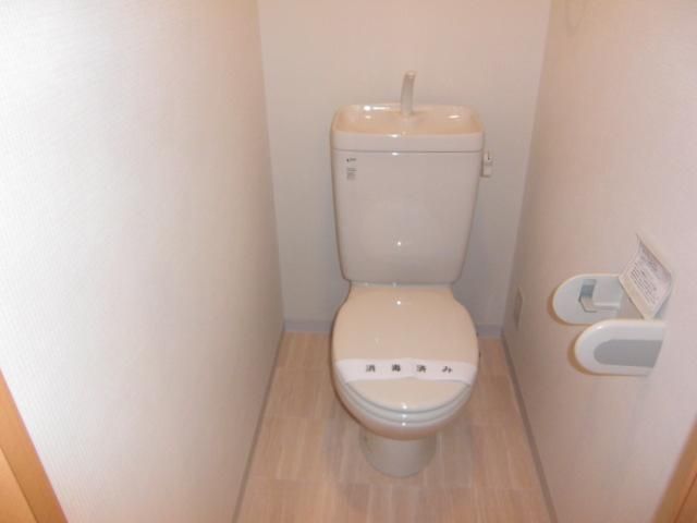 Toilet. It is a toilet with a clean! 