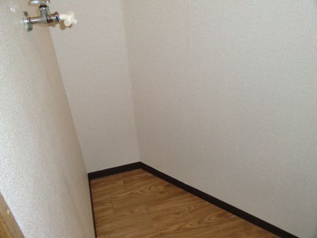 Other room space. There is storage room washing machine. 