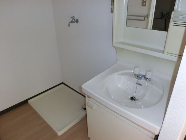 Washroom. Separate vanity and a washing machine inside the yard