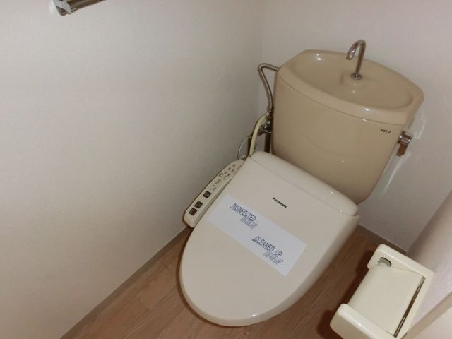 Toilet. It is equipped with toilet with shower