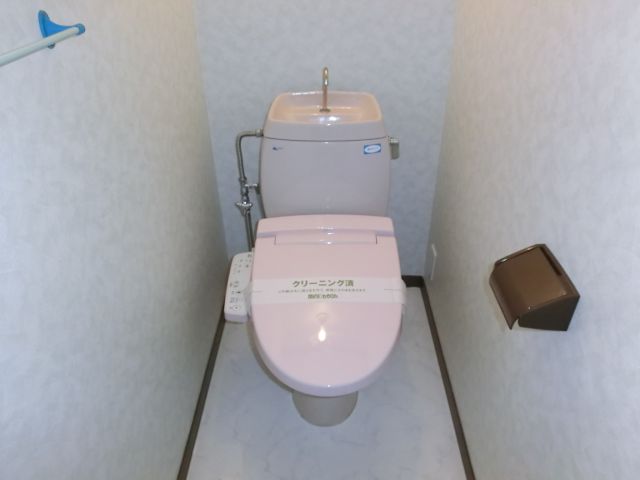 Toilet. Power supply with a toilet! 